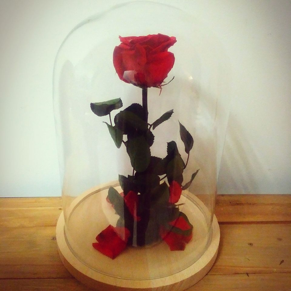 Rosa eterna en urna de cristal